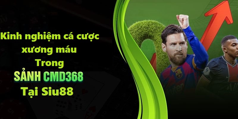 Cập nhập tin tức thể thao và điều chế cảm xúc là chìa khóa dẫn đến thành công