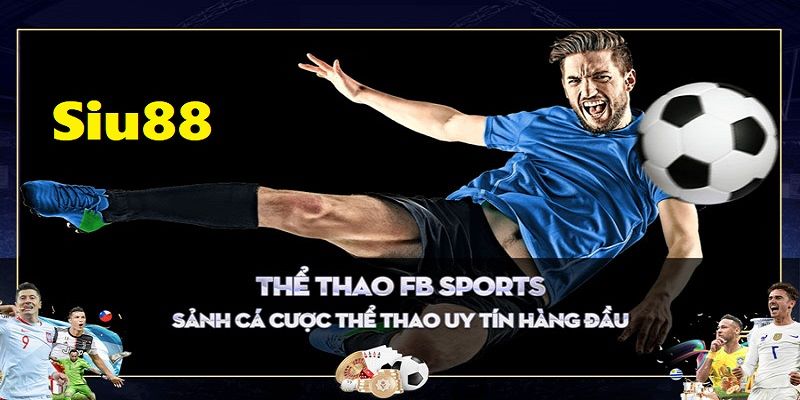 Bạn đang tìm một nền tảng giải trí thể thao, thì Siu88 là lựa chọn tối ưu nhất